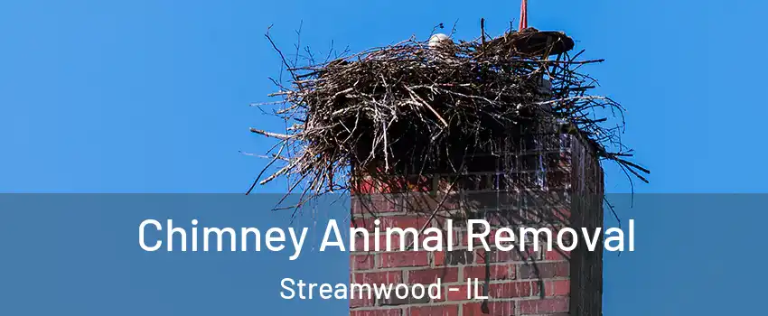 Chimney Animal Removal Streamwood - IL