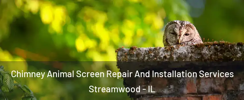  Chimney Animal Screen Repair And Installation Services Streamwood - IL
