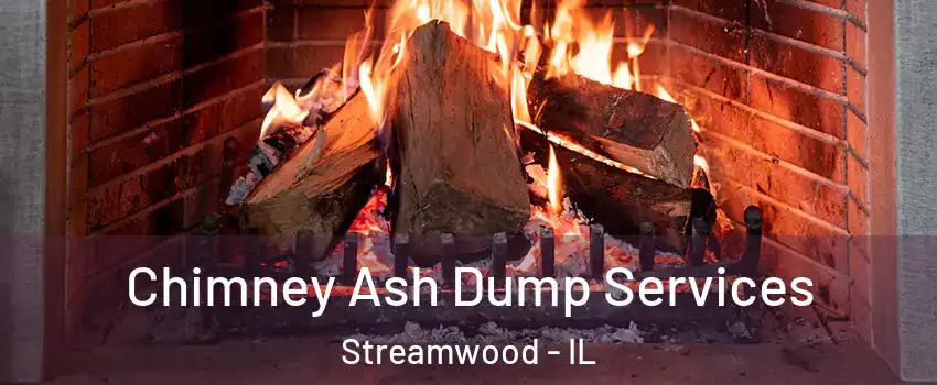  Chimney Ash Dump Services Streamwood - IL