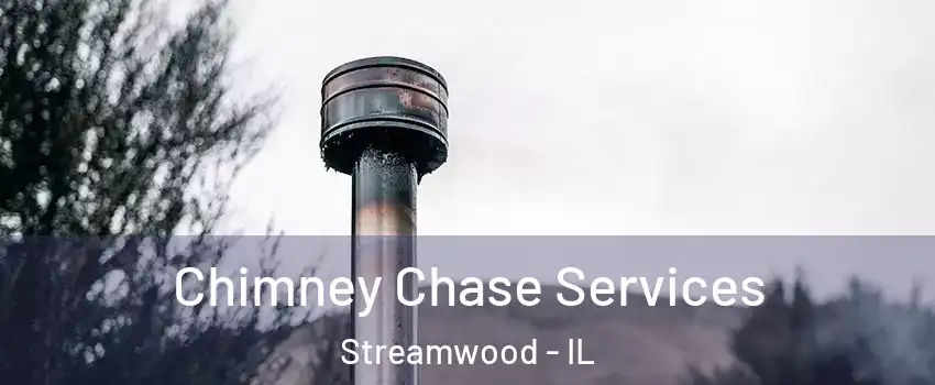  Chimney Chase Services Streamwood - IL