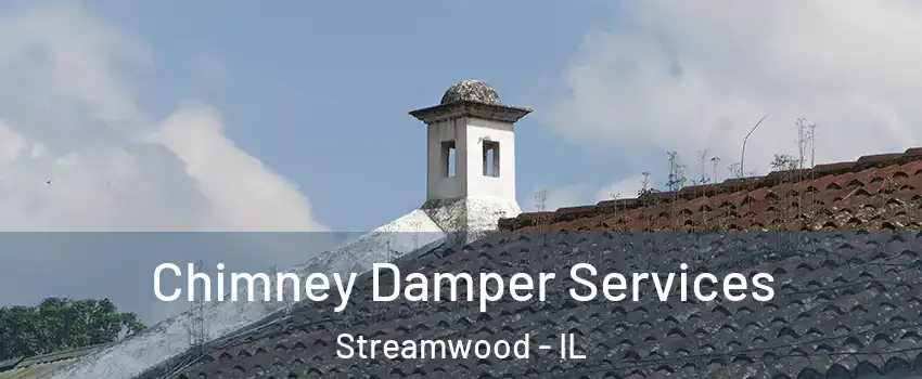  Chimney Damper Services Streamwood - IL