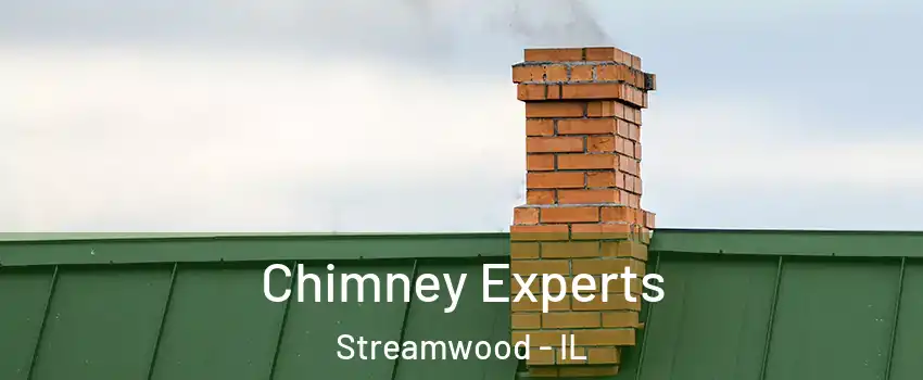  Chimney Experts Streamwood - IL