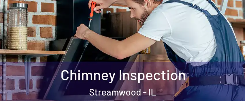  Chimney Inspection Streamwood - IL