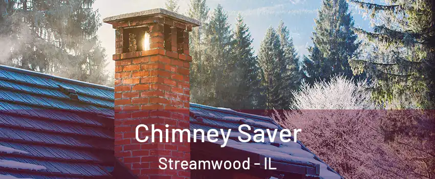  Chimney Saver Streamwood - IL