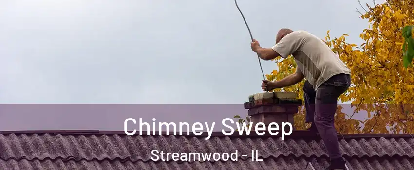  Chimney Sweep Streamwood - IL