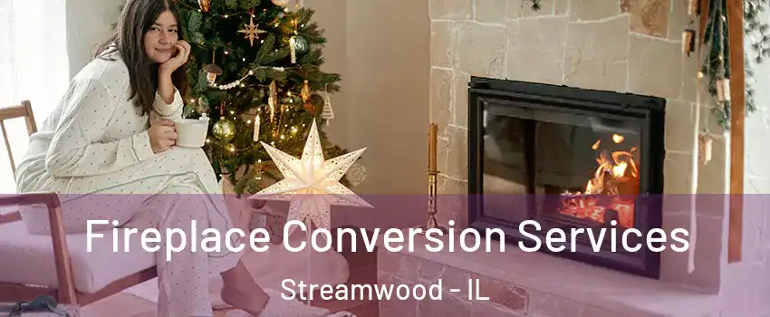  Fireplace Conversion Services Streamwood - IL