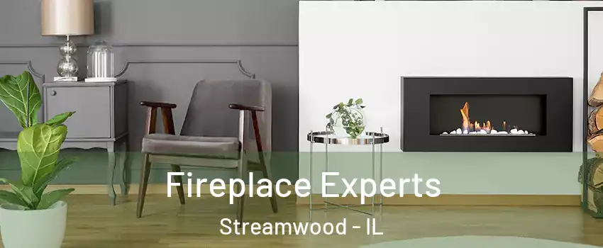  Fireplace Experts Streamwood - IL