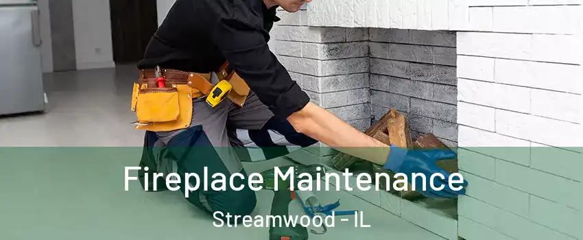  Fireplace Maintenance Streamwood - IL