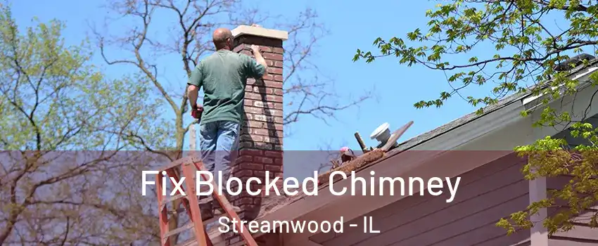  Fix Blocked Chimney Streamwood - IL