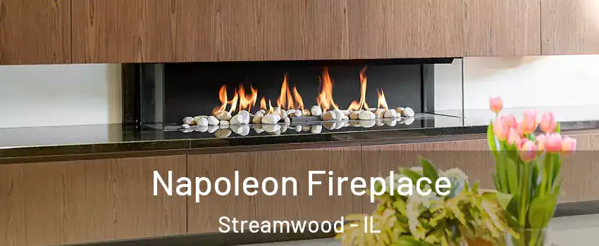  Napoleon Fireplace Streamwood - IL