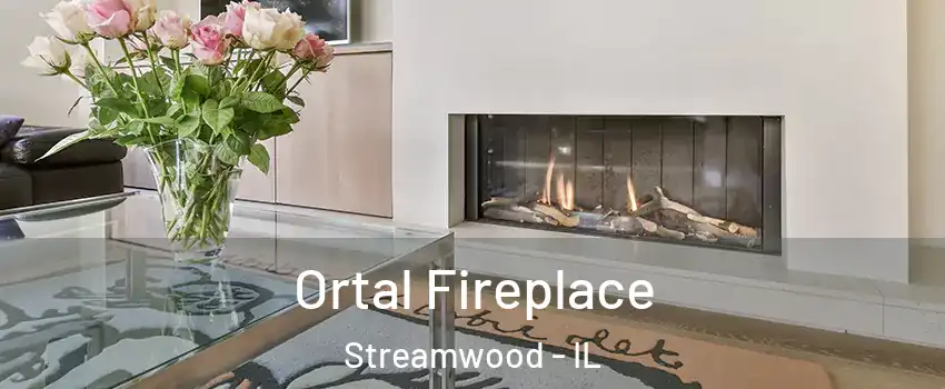  Ortal Fireplace Streamwood - IL