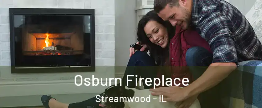  Osburn Fireplace Streamwood - IL